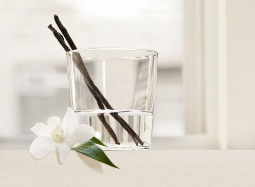 DKNYPURE_VANILLA_1_200dpi_SML