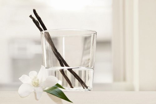 DKNYPURE_VANILLA_1_200dpi_SML