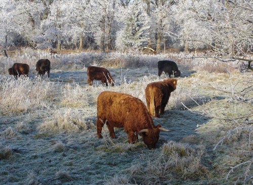 podlasie_biozny_500x366