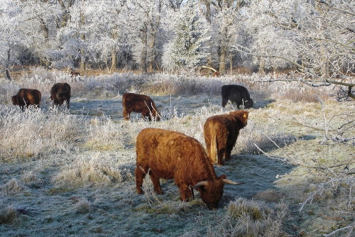 podlasie_biozny_500x366