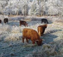 podlasie_biozny_500x366