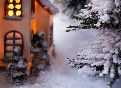 podlasie_specjaly_500x366