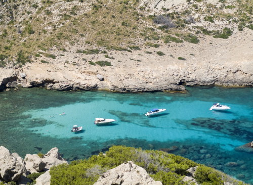 shutterstock_50334460