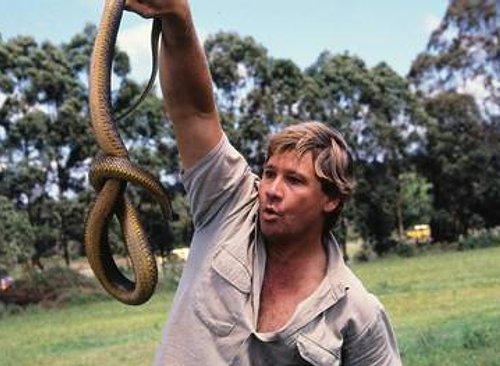 Pamieci_Steve__a_Irwina__3_