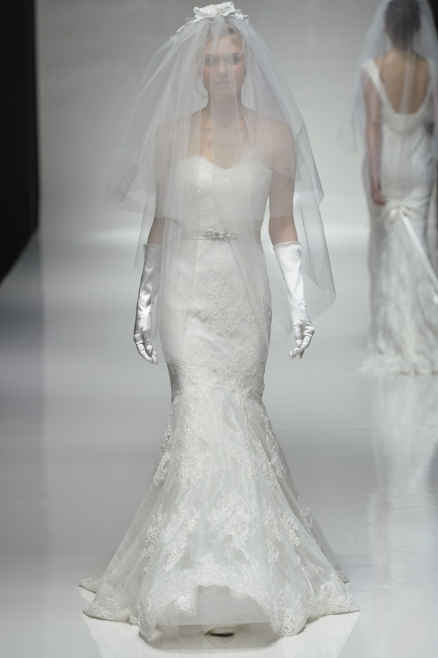 Mandongus_brd_S15_016