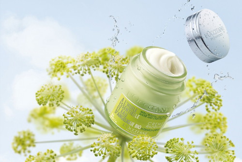 zajawka_56