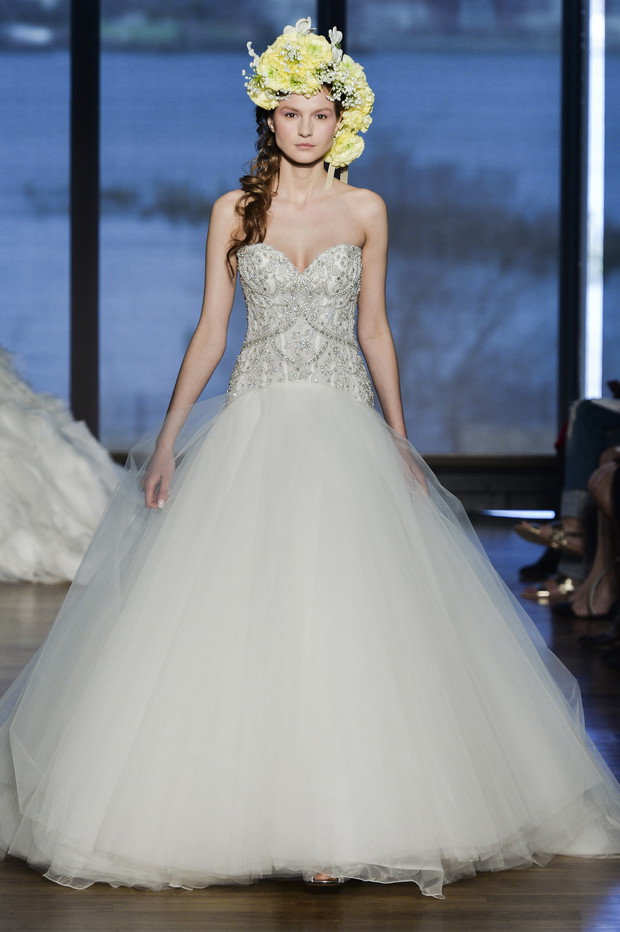 Di_Santo_brd_S15_058