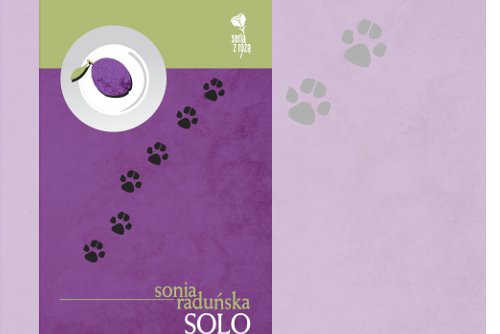 SOLO_500x366