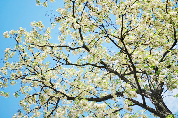 shutterstock_102644282m