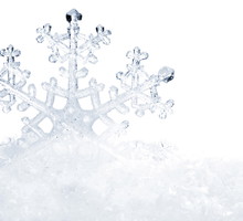 shutterstock_64705864m
