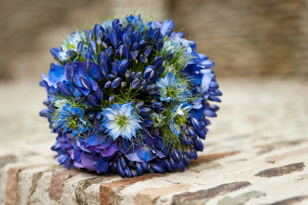 shutterstock_110856401_01