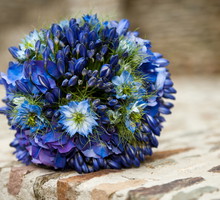 shutterstock_110856401_01