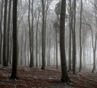 shutterstock_2789042