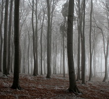shutterstock_2789042