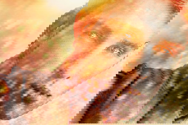 shutterstock_126335459