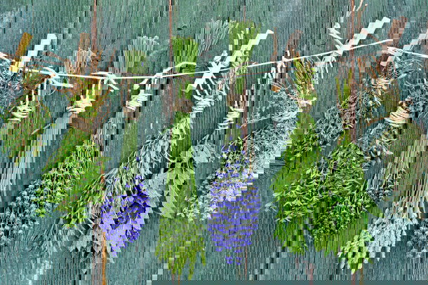 shutterstock_92961100