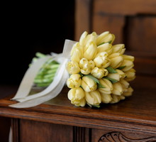 shutterstock_41076478m