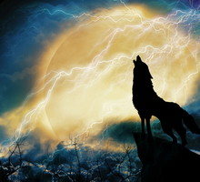 shutterstock_109048448m