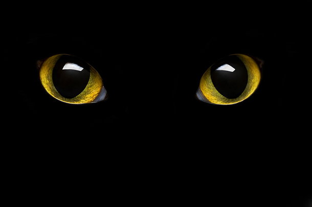 shutterstock_53627950m