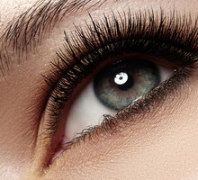 shutterstock_126257090