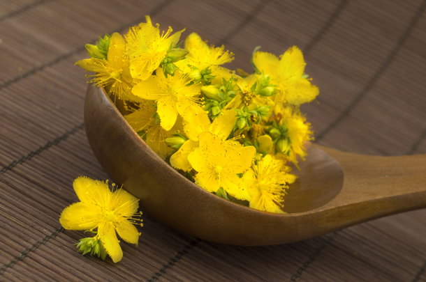 shutterstock_86877631a