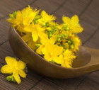 shutterstock_86877631a