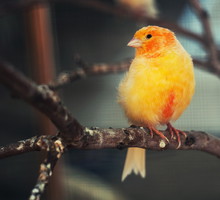 shutterstock_133614503