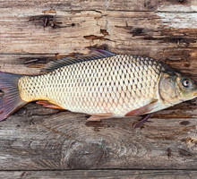 shutterstock_181949624