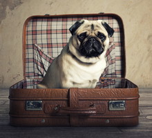 shutterstock_211743652