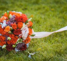 shutterstock_117769615_01