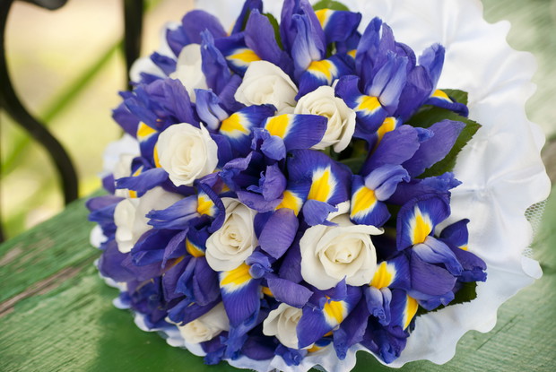 shutterstock_81890809_01