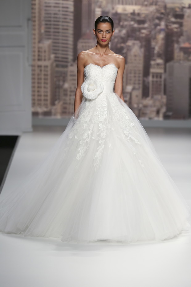 Rosa_Clara_brd_S15_099_01