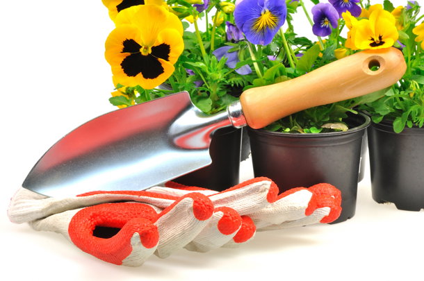 Dollarphotoclub_31442549NEW