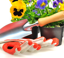 Dollarphotoclub_31442549NEW