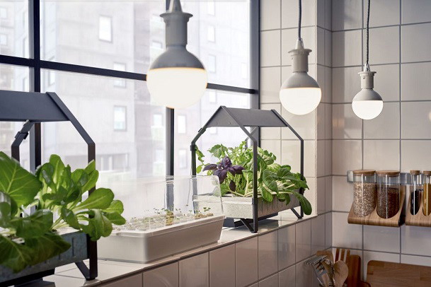 zajawka_ikea