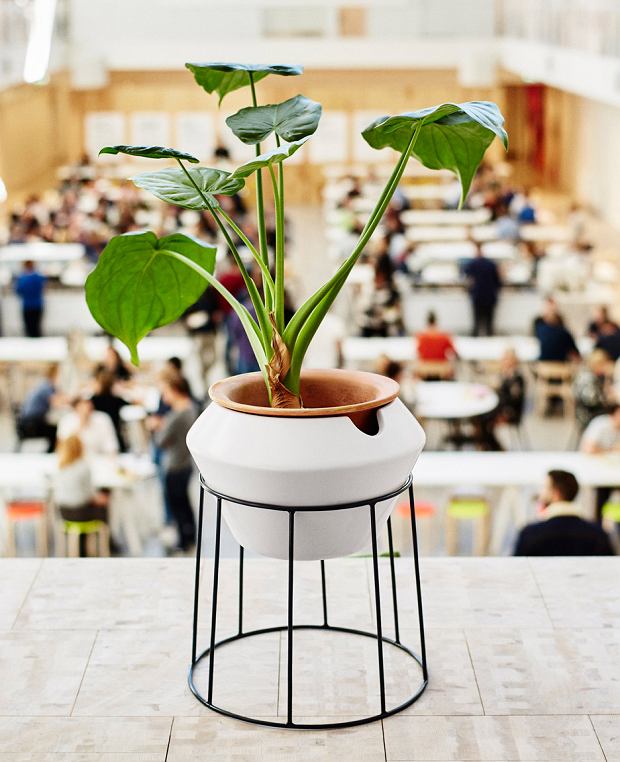 z20437937Q_Kolekcja-IKEA-PS-2017