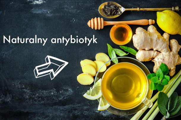antybiotyk100