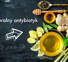antybiotyk100