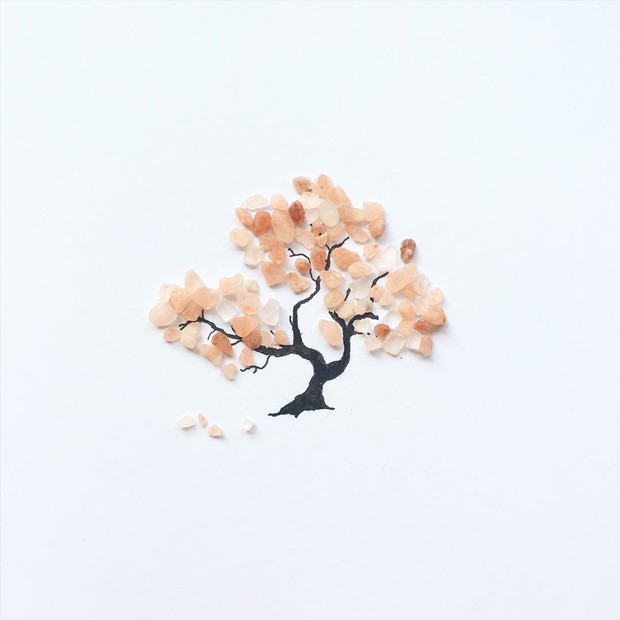 13549428_1747743082163352_743711497_n