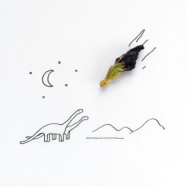 Dried_Flower_Dinosaur