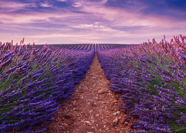 shutterstock_383444005
