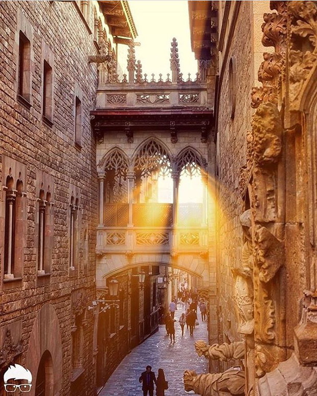 14676486_175475869523538_4484726974136188928_n