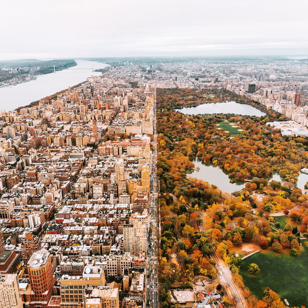 15101680_1133811776733986_1471127484014526464_n