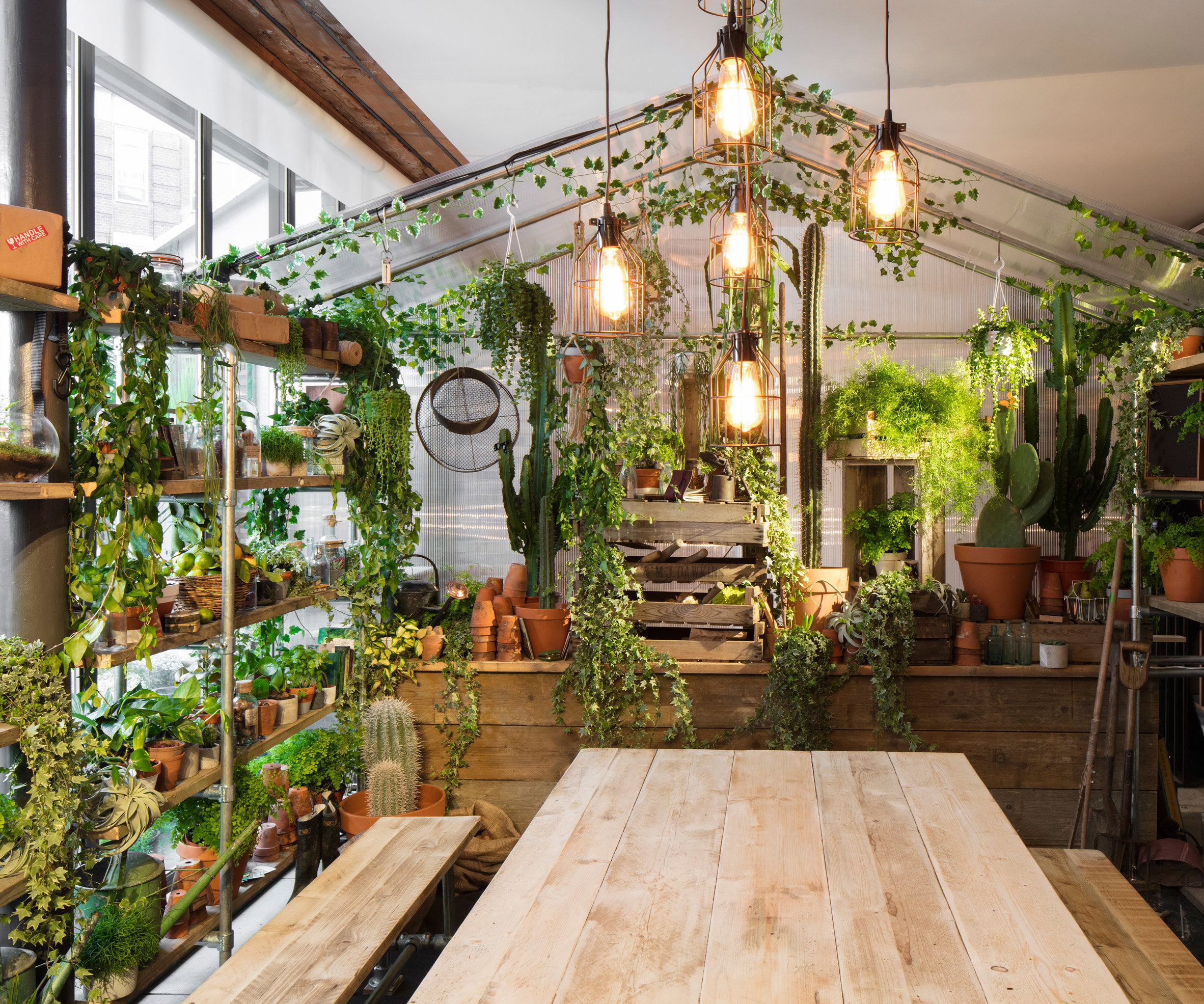 Airbnb i Pantone kolor roku 2017