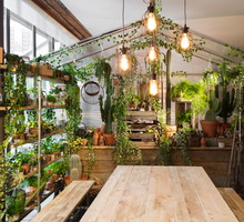 Airbnb i Pantone kolor roku 2017