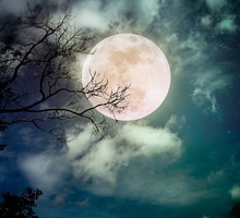 Październikowa pełnia Księżyca odmieni los 3 znaków zodiaku