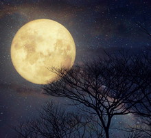 Horoskop na pełnię 17 października 2024 A