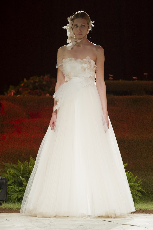 David_Fielden_brd_S15_156