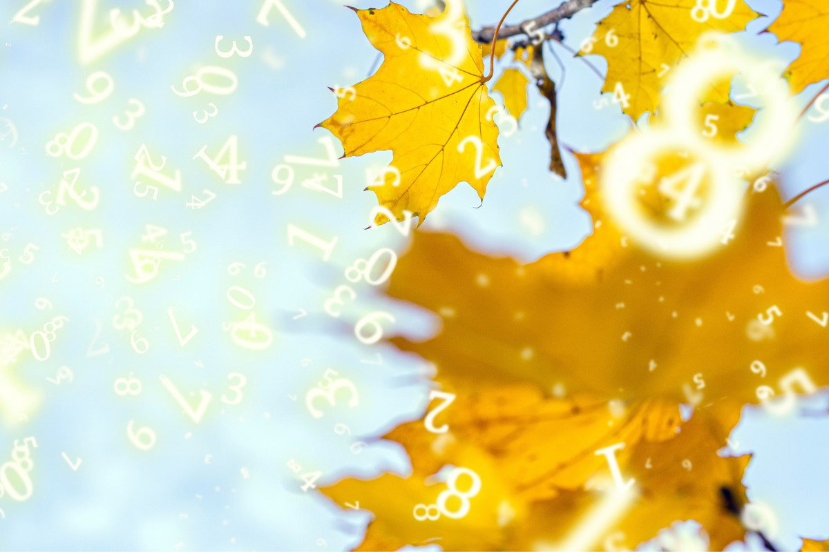 Numerologia na listopad 2024