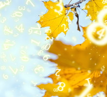 Numerologia na listopad 2024
